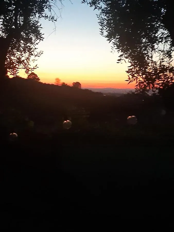 Poggio Agli Ulivi Villa Frascati Italy