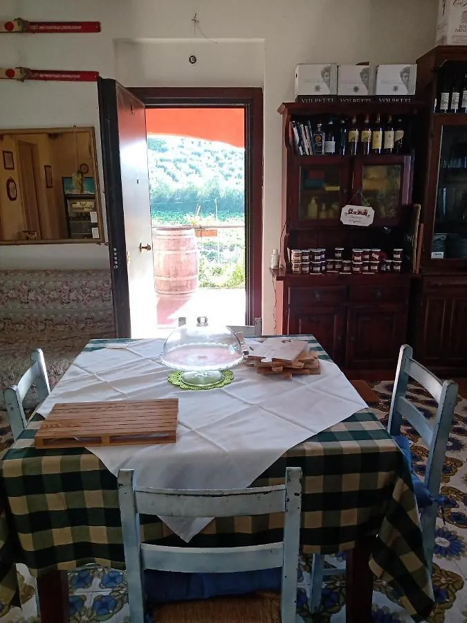 Poggio Agli Ulivi Villa Frascati