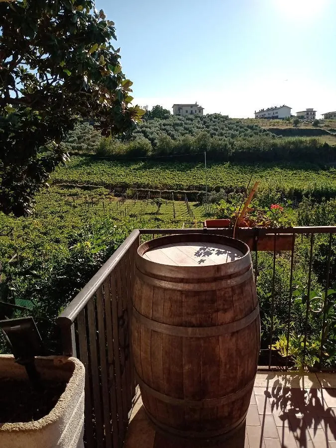 Poggio Agli Ulivi Villa Frascati Italy